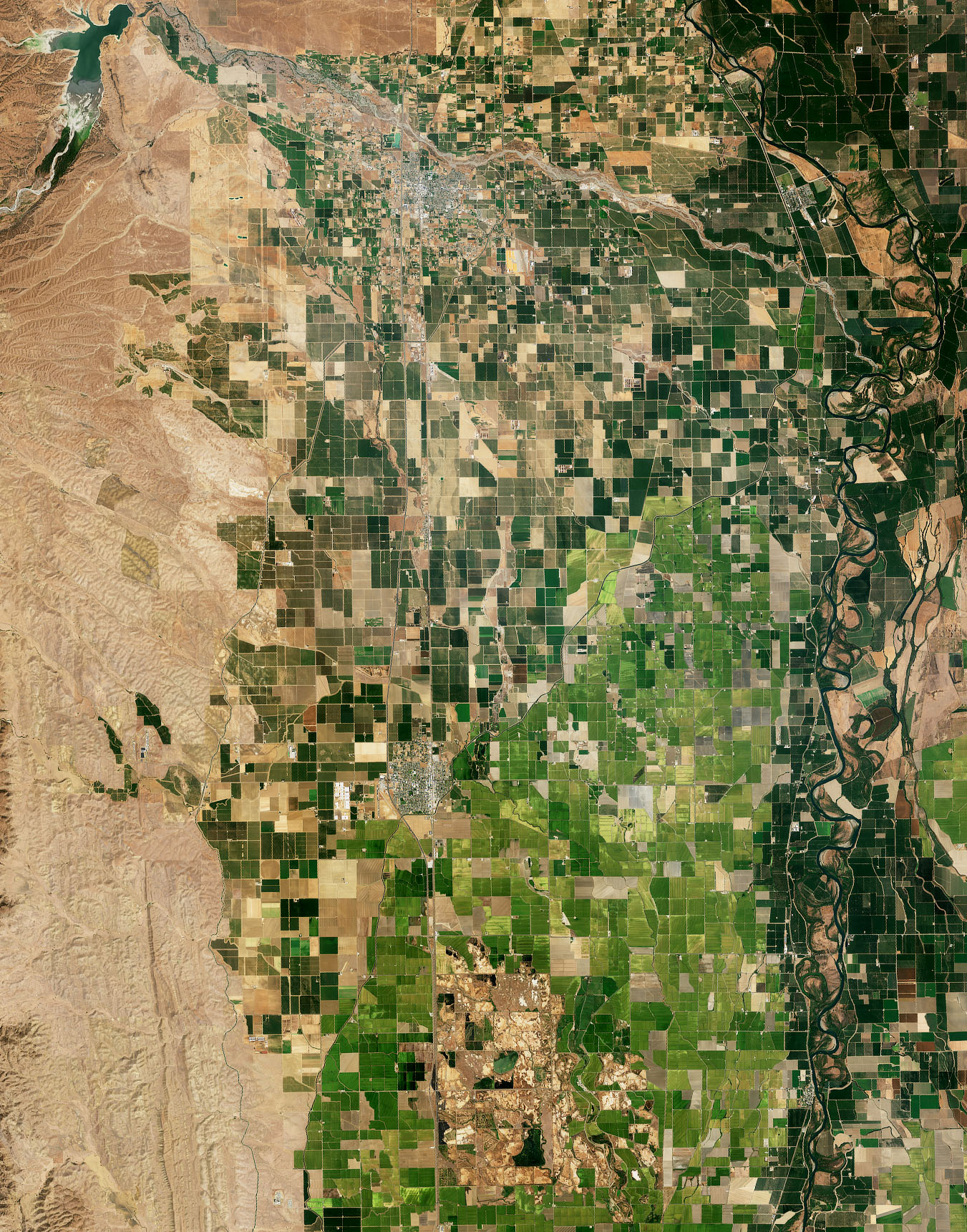 Satellite view of rice fields showing crop patterns and water management - NASA Visible Earth
